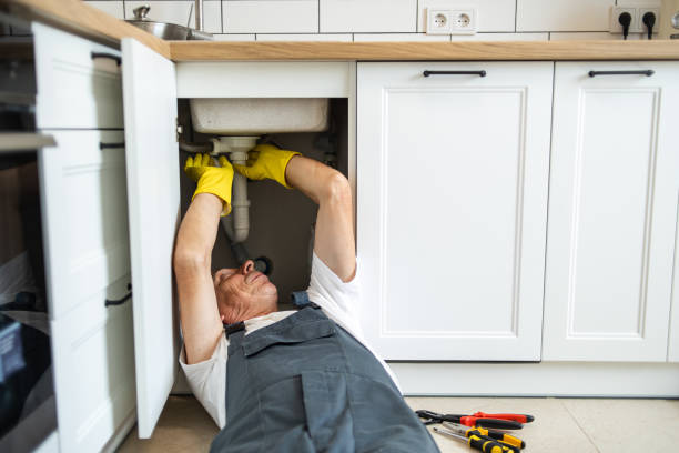 Best Residential Plumbing Services  in Grosse Pointe Woods, MI